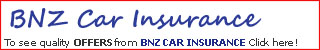 BNZ Car Insurance Logo