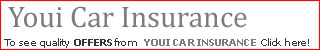 YOUI Car Insurance Logo