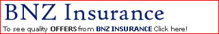 BNZ Car Insurance Logo