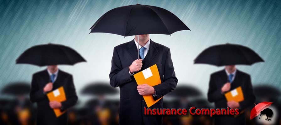Insurance Companies New Zealand
